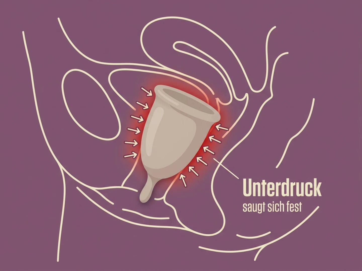 Schaubild: Menstruationstasse saugt sich mit Unterdruck an der Vaginalwand fest